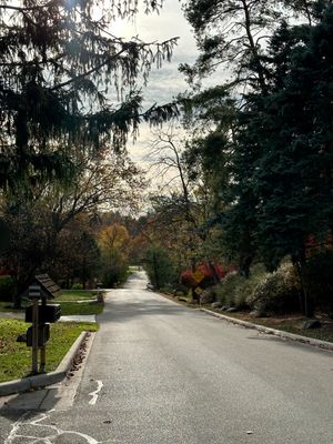 Downhill to Fall Color