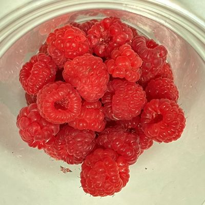 Fall Raspberries