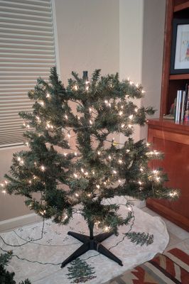 Joy - is when you are constructing the Xmas Tree, and the Lights come on.