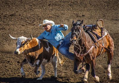 02 Wrestle that Steer
