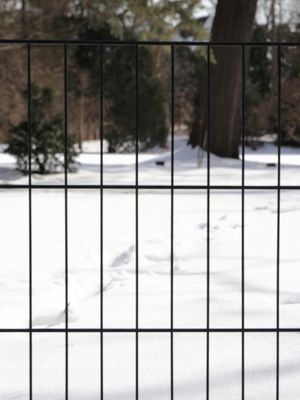 Footprints in the Snow
