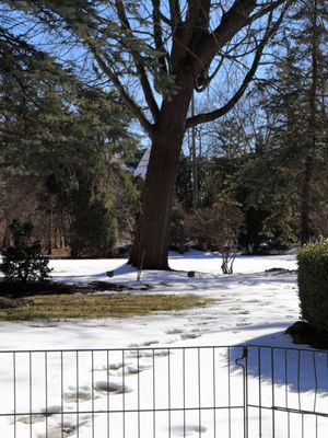 Footprints, A Day Later
