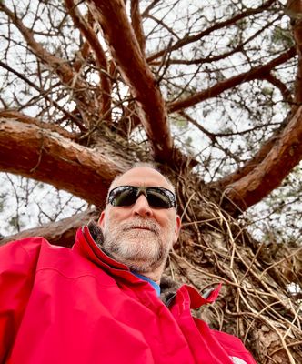 03 Me In The Tree