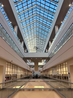 05 Soaring Ceiling