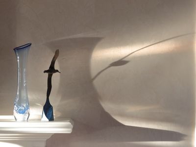 Still Life with Vase, Albatross Sculpture and Shadows
