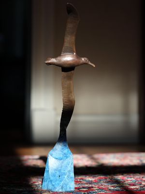Albatross