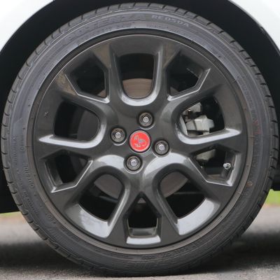 A Scorpion Lives at the Center of this Wheel