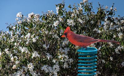 Ready to Spring into Spring