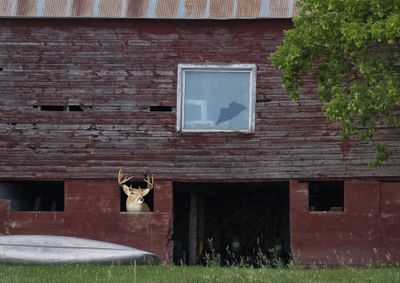 Abandoned Barn Once Held Food 