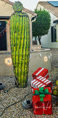 Lights on a Saguaro