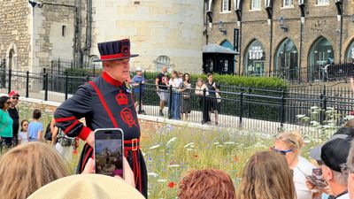 The Tower of London - Our Tour Guide