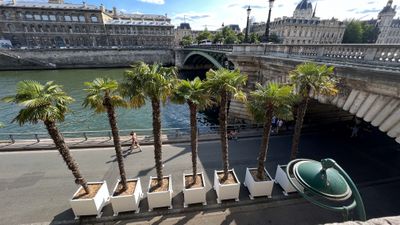 The Seine River with Palm Trees