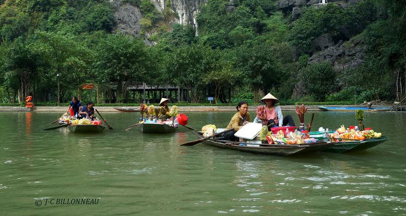 107 Baie d'Halong terrestre.JPG