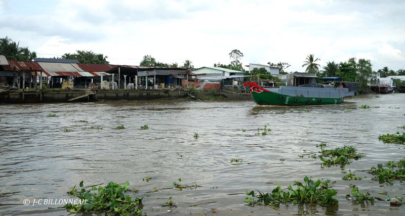 236 Delta du Mkong.JPG