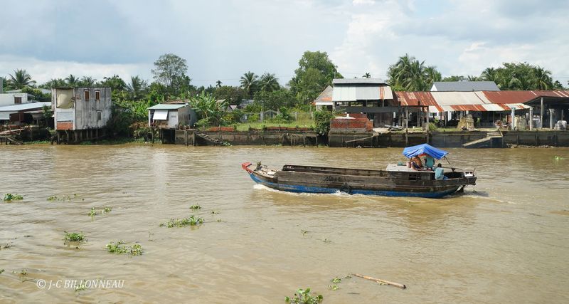 237 Delta du Mkong.JPG
