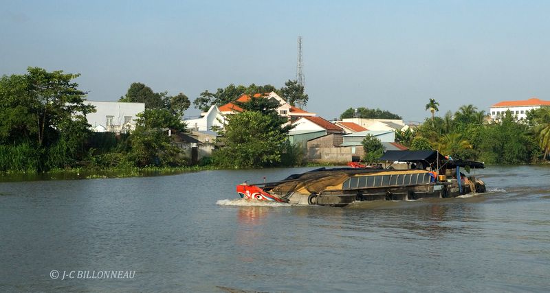 249 Transport du riz.JPG