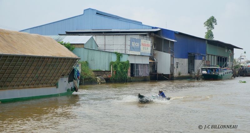 268 Delta du Mkong.JPG