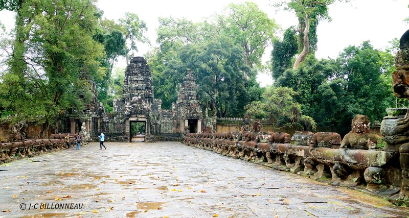 430 Temple Preah Khan.JPG