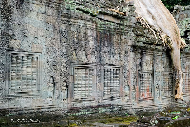433 Temple Preah Khan.JPG
