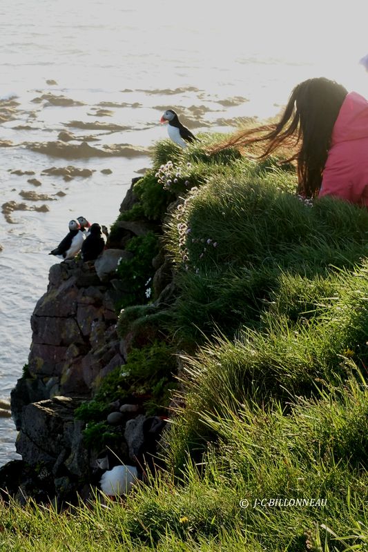 020.9 Latrabjarg.JPG
