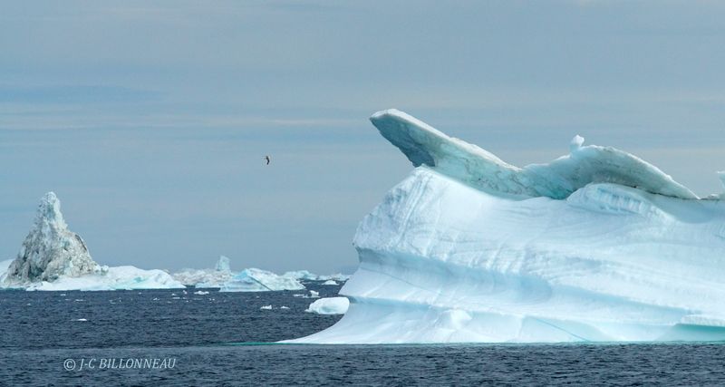 029.9 Baie de Disko.JPG