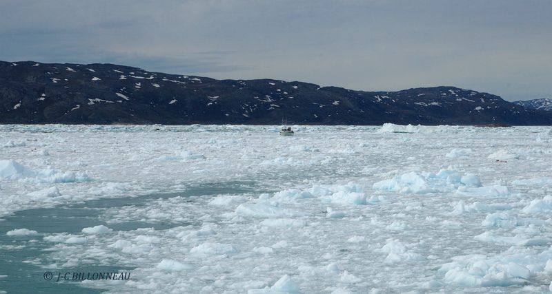 029.31 A l'approche du glacier Eqi.JPG