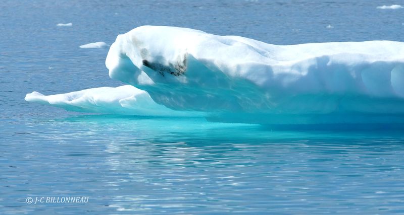 037.3 Fjord d'Ataa.JPG