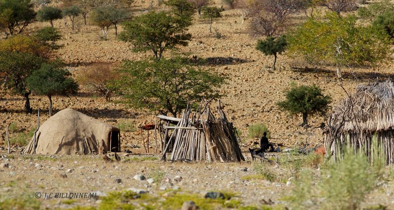 241 Visite deuxième village himba.JPG