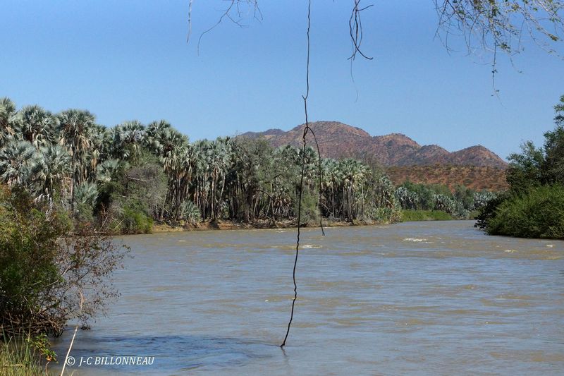 255 Fleuve Cunene, frontière avec l'Angola.JPG