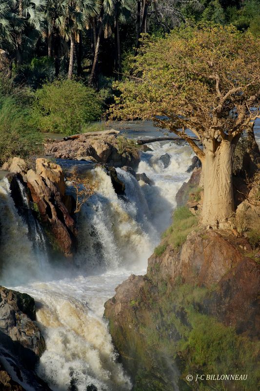 264 Chutes d'Epupa et baobab.JPG
