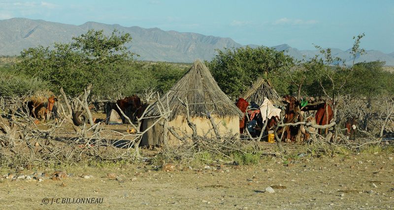 268 A travers le Damaraland.JPG