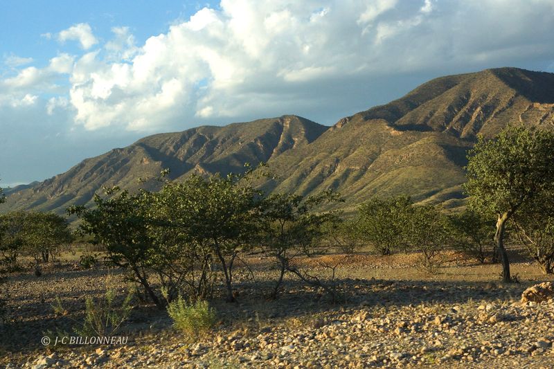 269 A travers le Damaraland.JPG