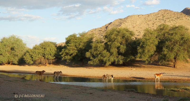 271 A travers le Damaraland.JPG
