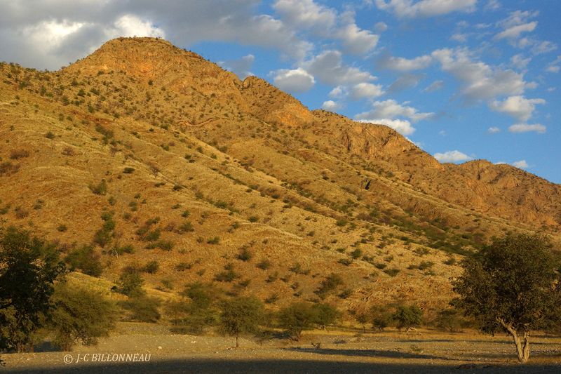272 A travers le Damaraland.JPG