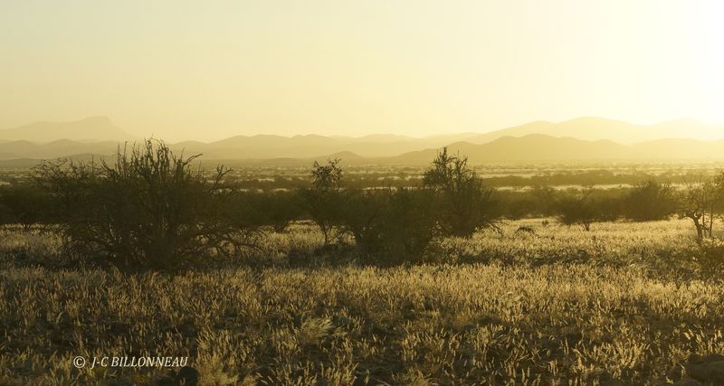 273 A travers le Damaraland.JPG