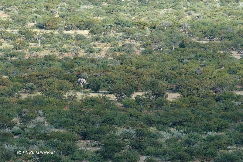 282 A travers le Damaraland.JPG