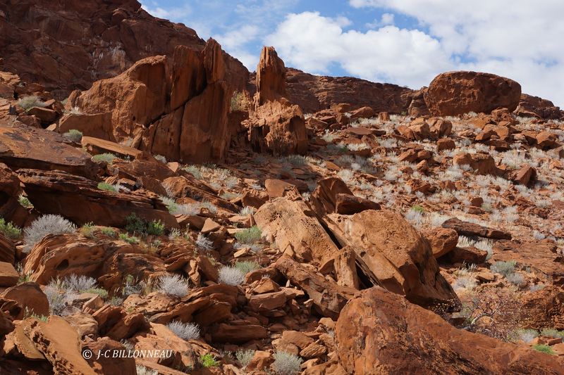 291 Twyfelfontein.JPG