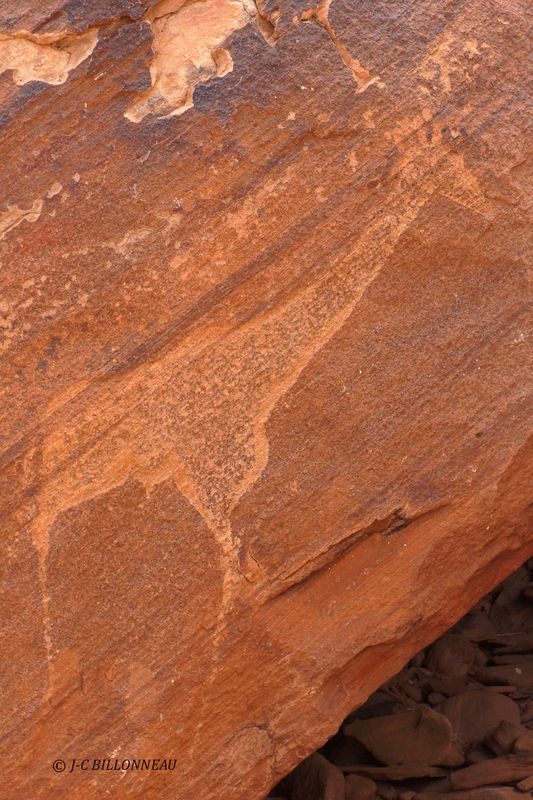 294 Twyfelfontein.JPG