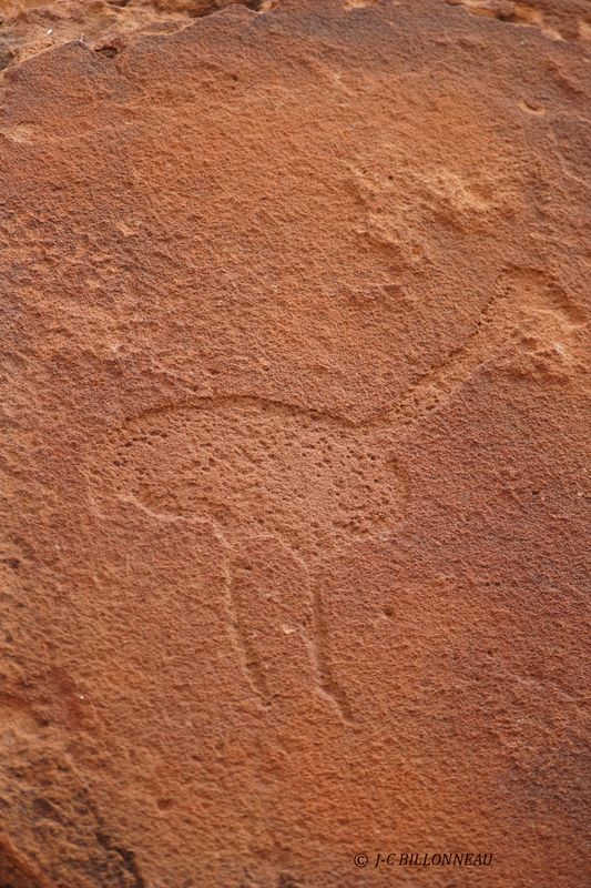 296 Twyfelfontein.JPG