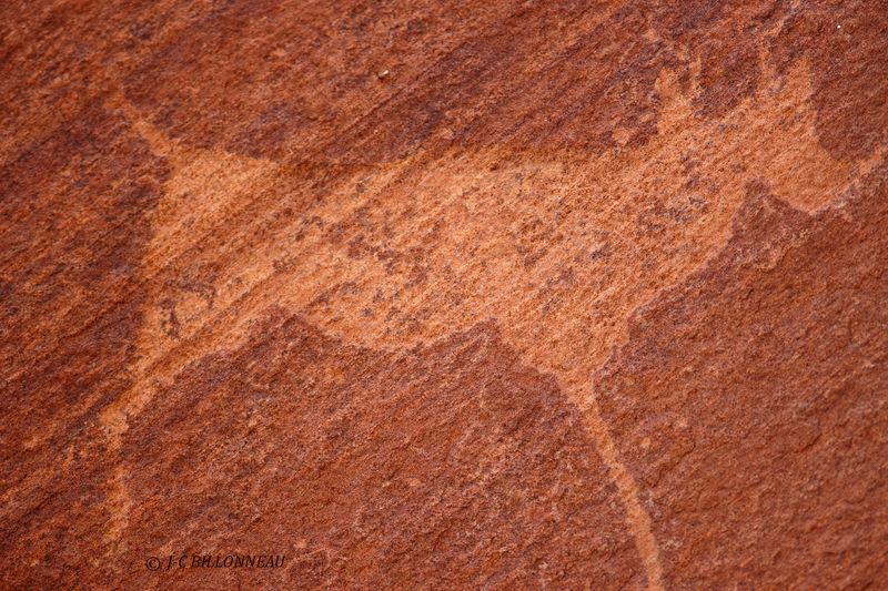 297 Twyfelfontein.JPG