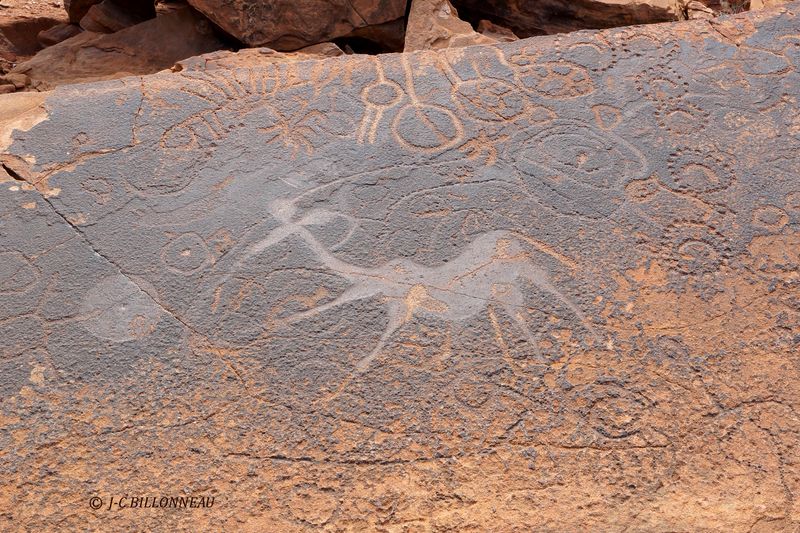 298 Twyfelfontein.JPG
