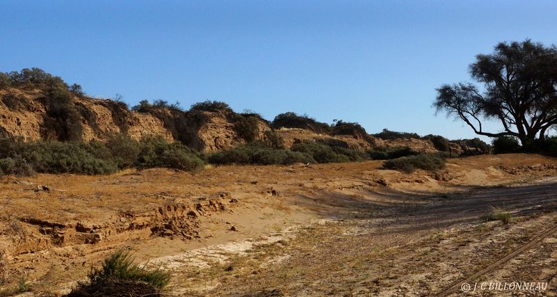 307 Huab River.JPG