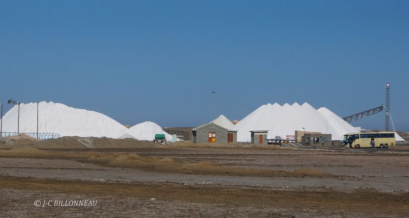 327 Exploitation marais salants.JPG