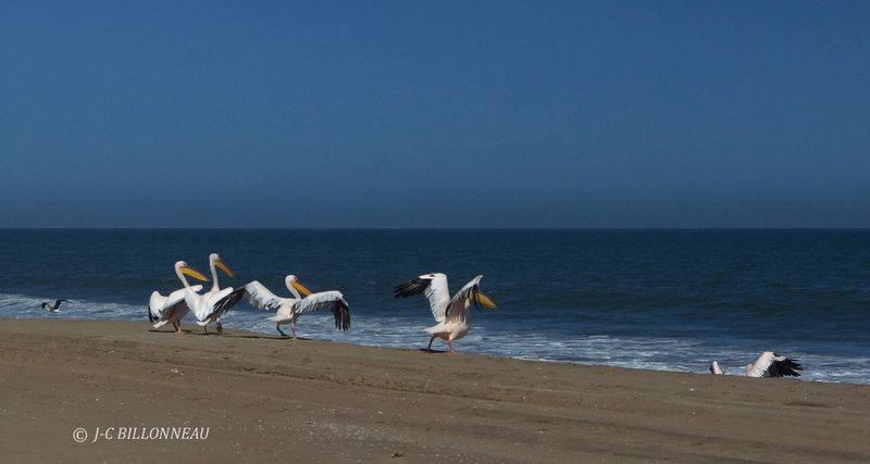 334 Vers Sandwich Harbour.JPG