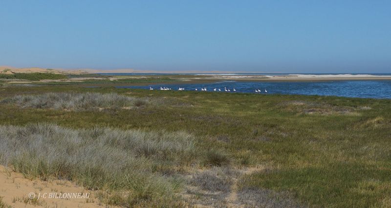 337 Sandwich Harbour.JPG
