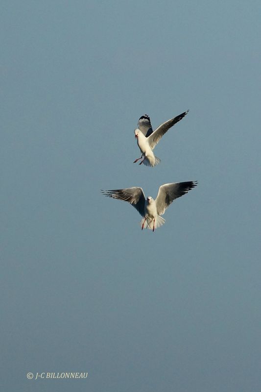 369 Walvis Bay.JPG