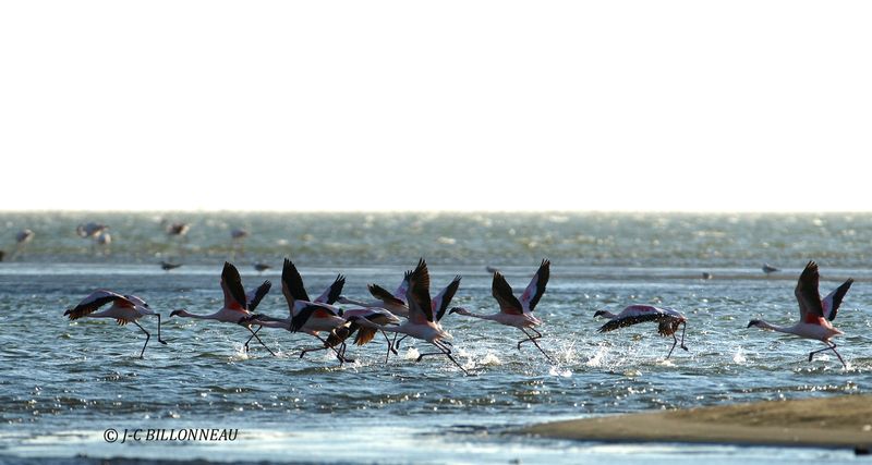 376 Walvis Bay.JPG