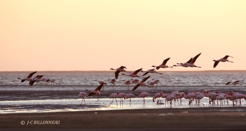 377 Walvis Bay.JPG