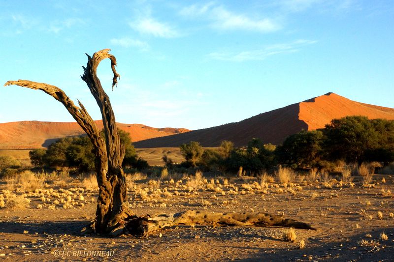 404 Sossusvlei.JPG
