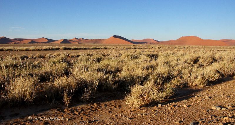 406 Sossusvlei.JPG